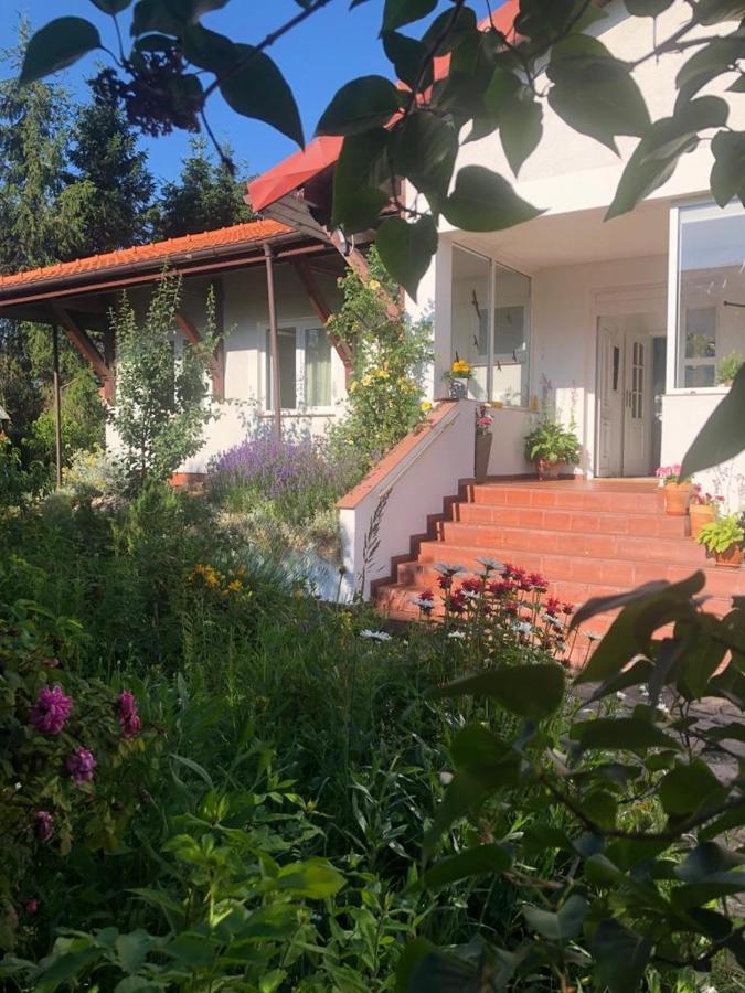 Dom Natura Grzybowo  Eksteriør bilde