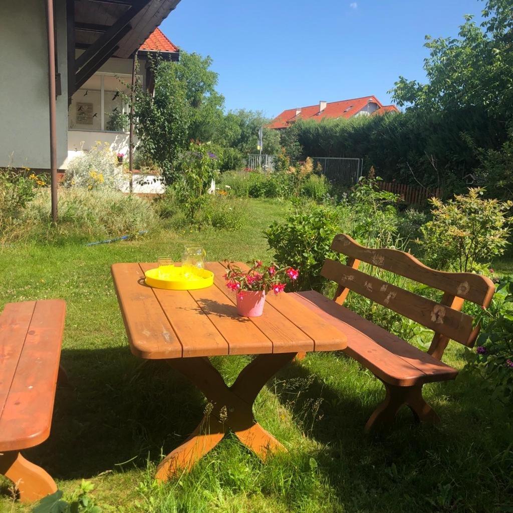 Dom Natura Grzybowo  Eksteriør bilde